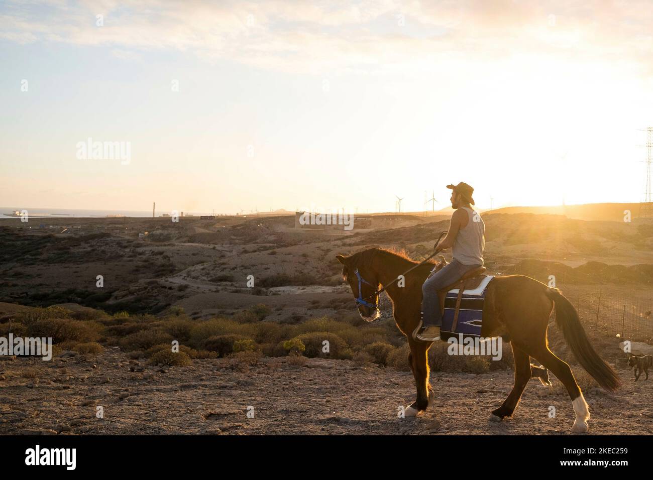 un solo e isolato uomo che cavalcava il suo cavallo al serata con tramonto sullo sfondo - viaggio e scoperta insieme Foto Stock