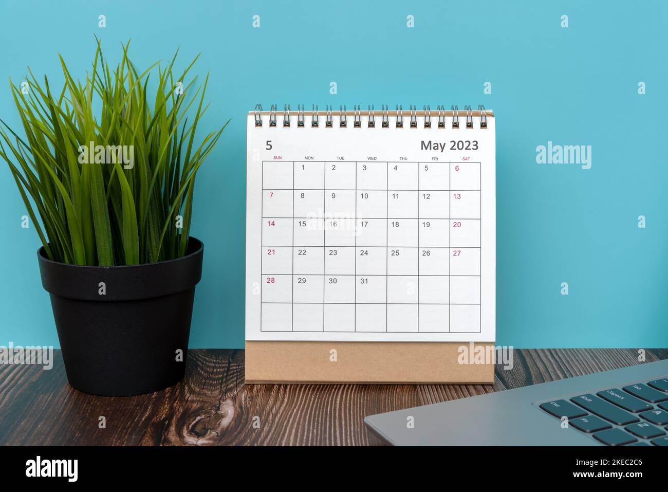 Calendario da tavolo maggio 2023 con impianto Green Potted e computer portatile Foto Stock