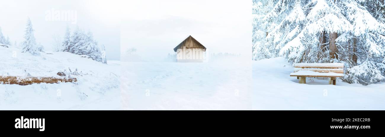 Impressioni invernali in un paesaggio innevato Foto Stock