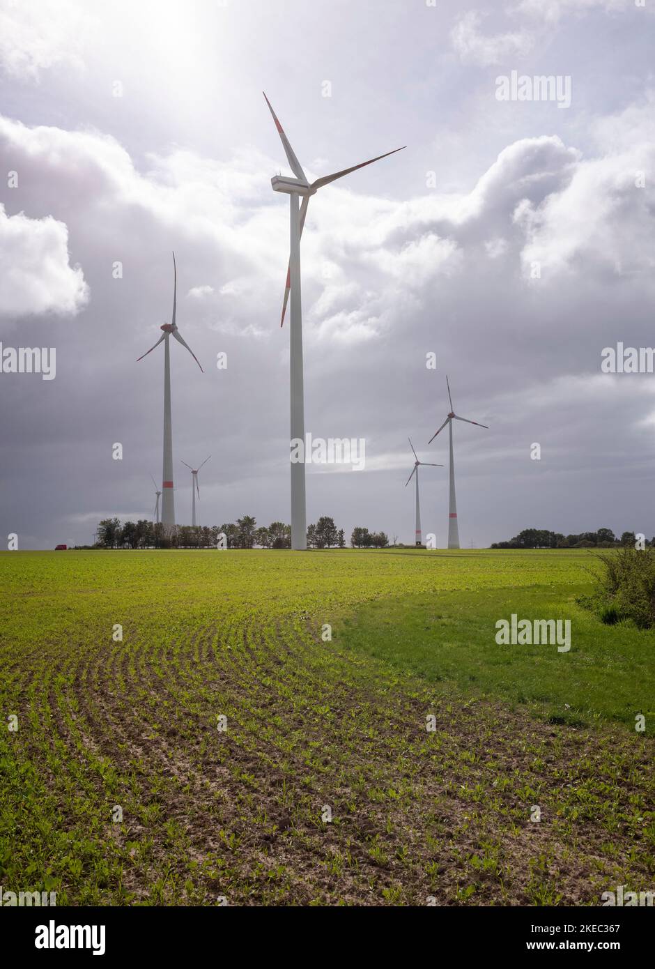 Turbine eoliche su un campo durante il giorno sotto un cielo nuvoloso a Meclemburgo-Pomerania anteriore, Germania. Foto Stock