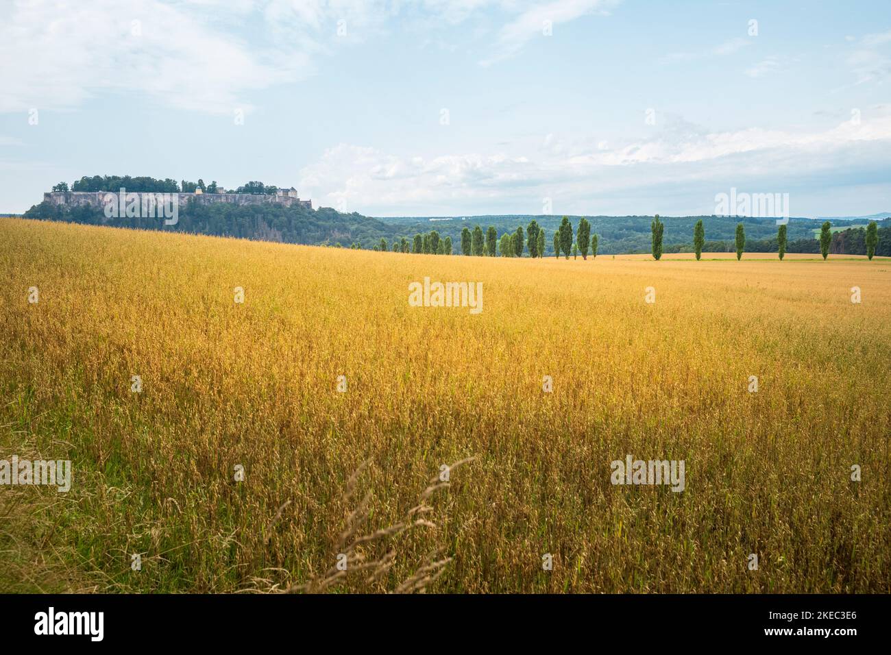 Vista sulla fortezza di Königstein sul sentiero Malerweg in Sassonia durante il giorno d'estate. Foto Stock