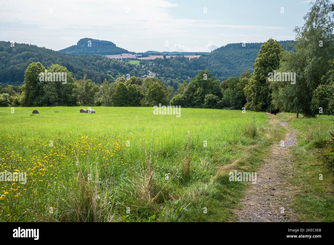 Sentiero escursionistico sul Malerweg in Sassonia durante il giorno d'estate. Foto Stock