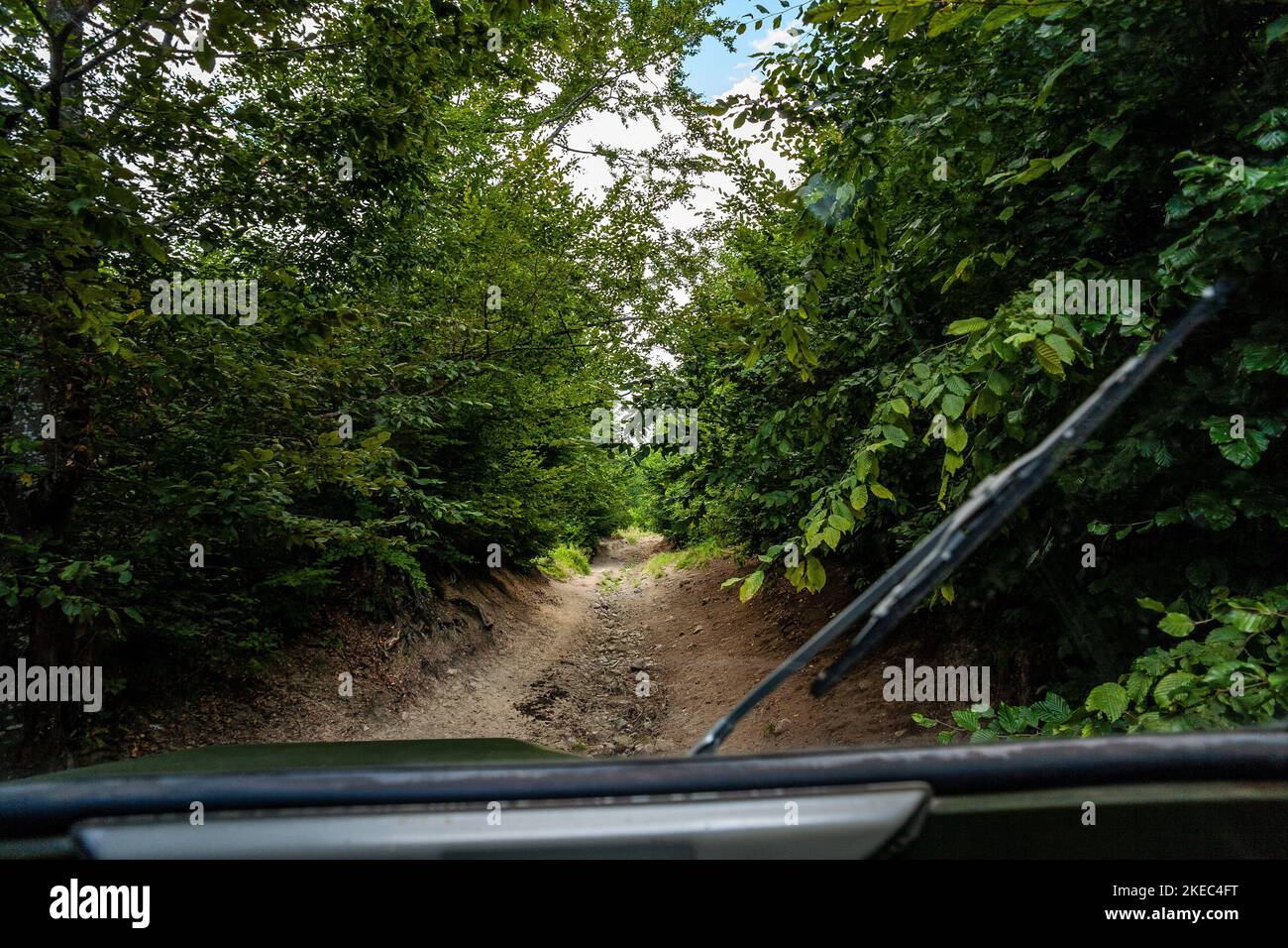 Foto della strada forestale presa dalla cabina di un vecchio camion militare. Foto Stock
