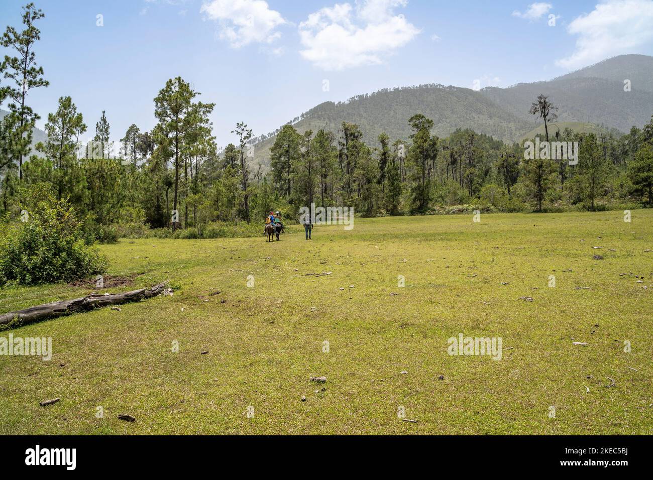 Nord America, Caraibi, grandi Antille, Isola di Hispaniola, Repubblica Dominicana, Cordillera centrale, Parque Nacional Armando Bermúdez, escursionisti su muli nell'alta valle Valle del Tetero Foto Stock