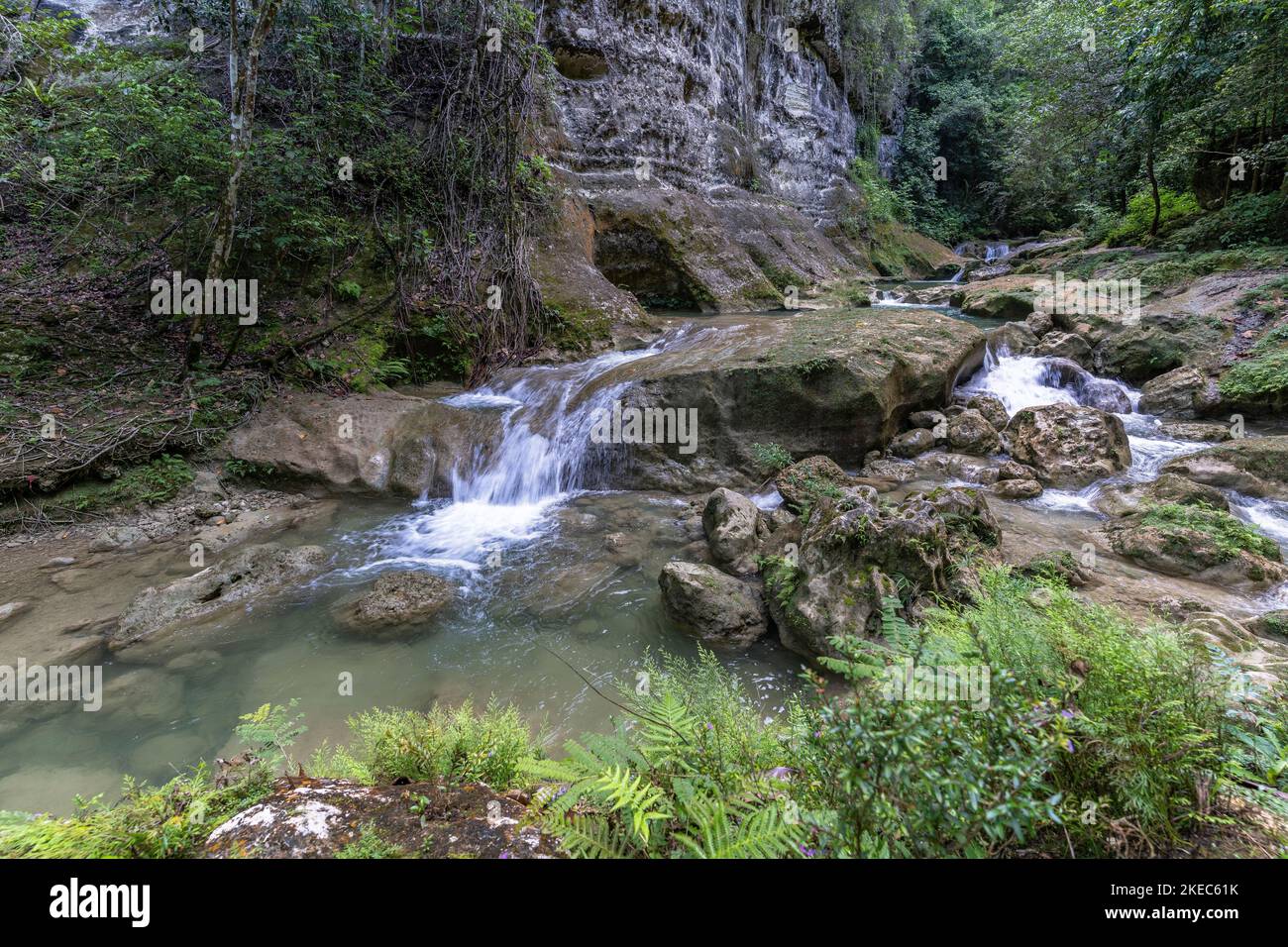 Nord America, Caraibi, grandi Antille, Isola di Hispaniola, Repubblica Dominicana, Cordillera Settentrionale, Moca, Cola de Pato Foto Stock