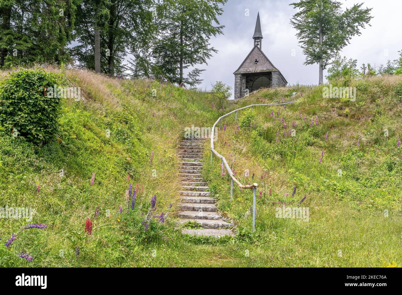 Europa, Germania, Germania meridionale, Baden-Württemberg, Foresta Nera, Dean Strahmeyer Memorial Chapel dietro un prato di fiori Foto Stock