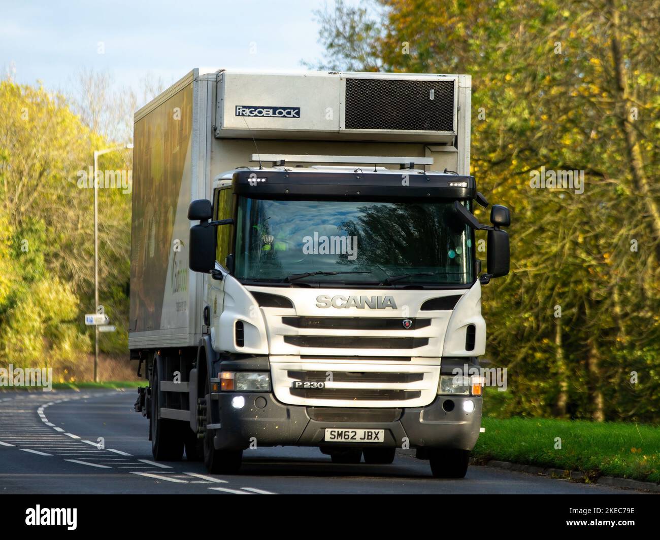 2013 Scania P230 camion Foto Stock