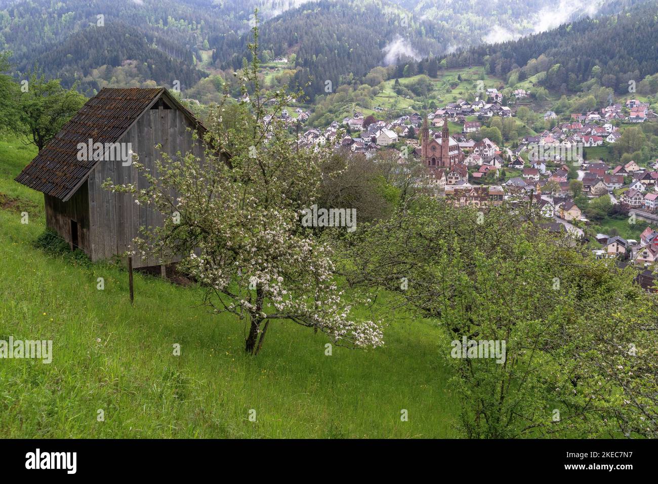 Europa, Germania, Germania meridionale, Baden-Wuerttemberg, Foresta Nera, Vista del villaggio Forbach nella Foresta Nera settentrionale Foto Stock