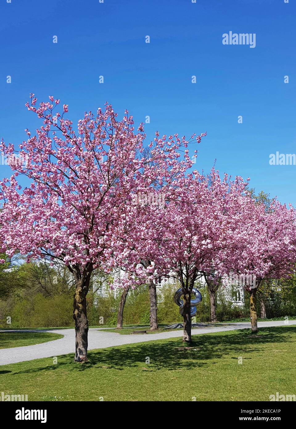 Westpark in primavera. Il parco di 60 ettari è stato creato nel 1983 per l'esposizione orticola internazionale. Foto Stock