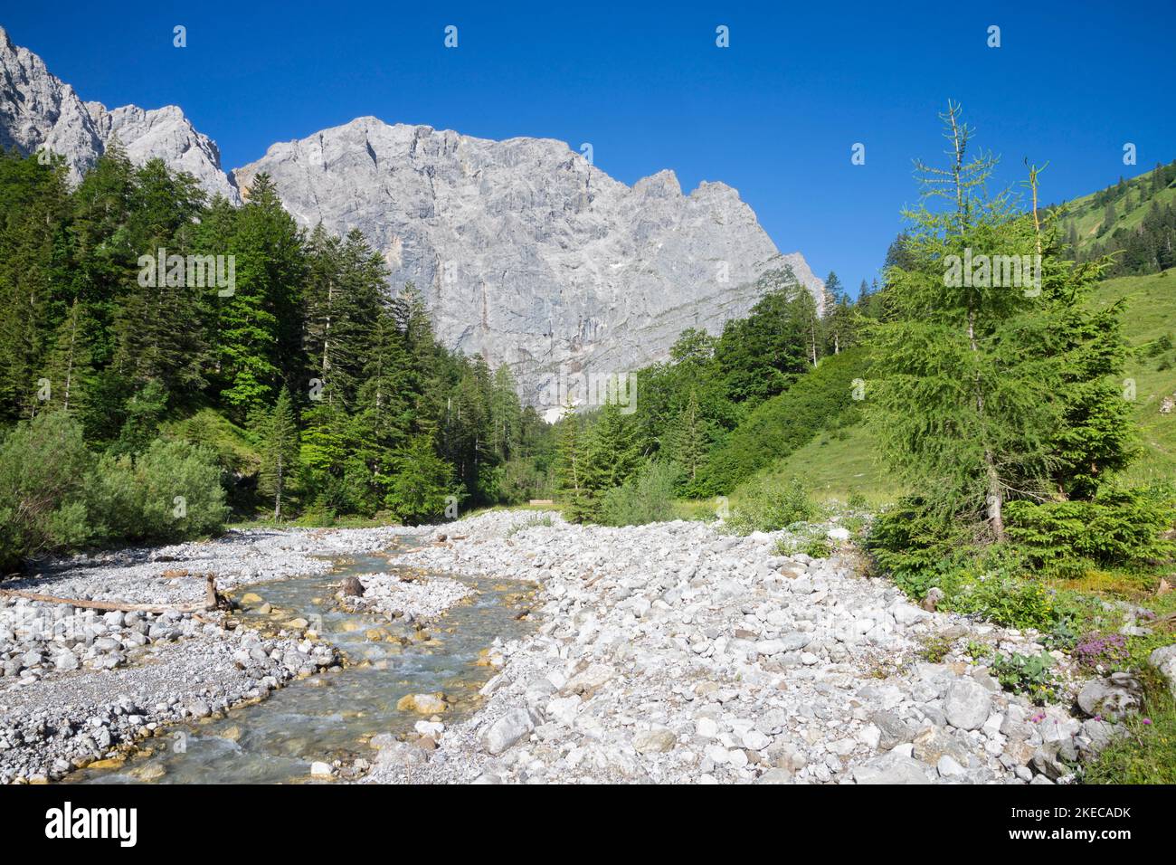 Le pareti nord dei monti Karwendel - le pareti di Grubenkar spitze dalla valle. Foto Stock