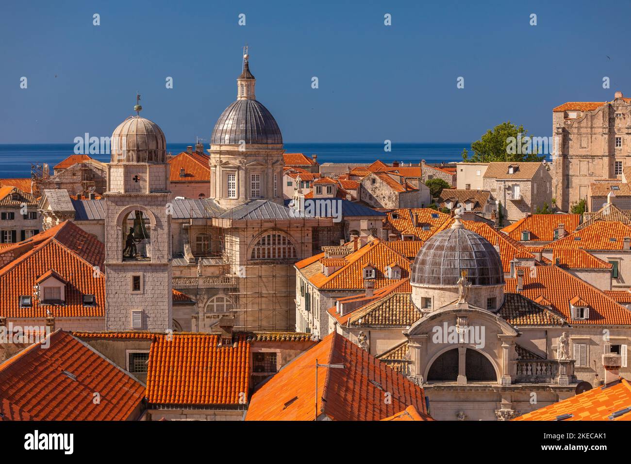 DUBROVNIK, CROAZIA, EUROPA - Cattedrale di Dubrovnik, centro, nella città fortificata di Dubrovnik sulla costa della Dalmazione. Foto Stock