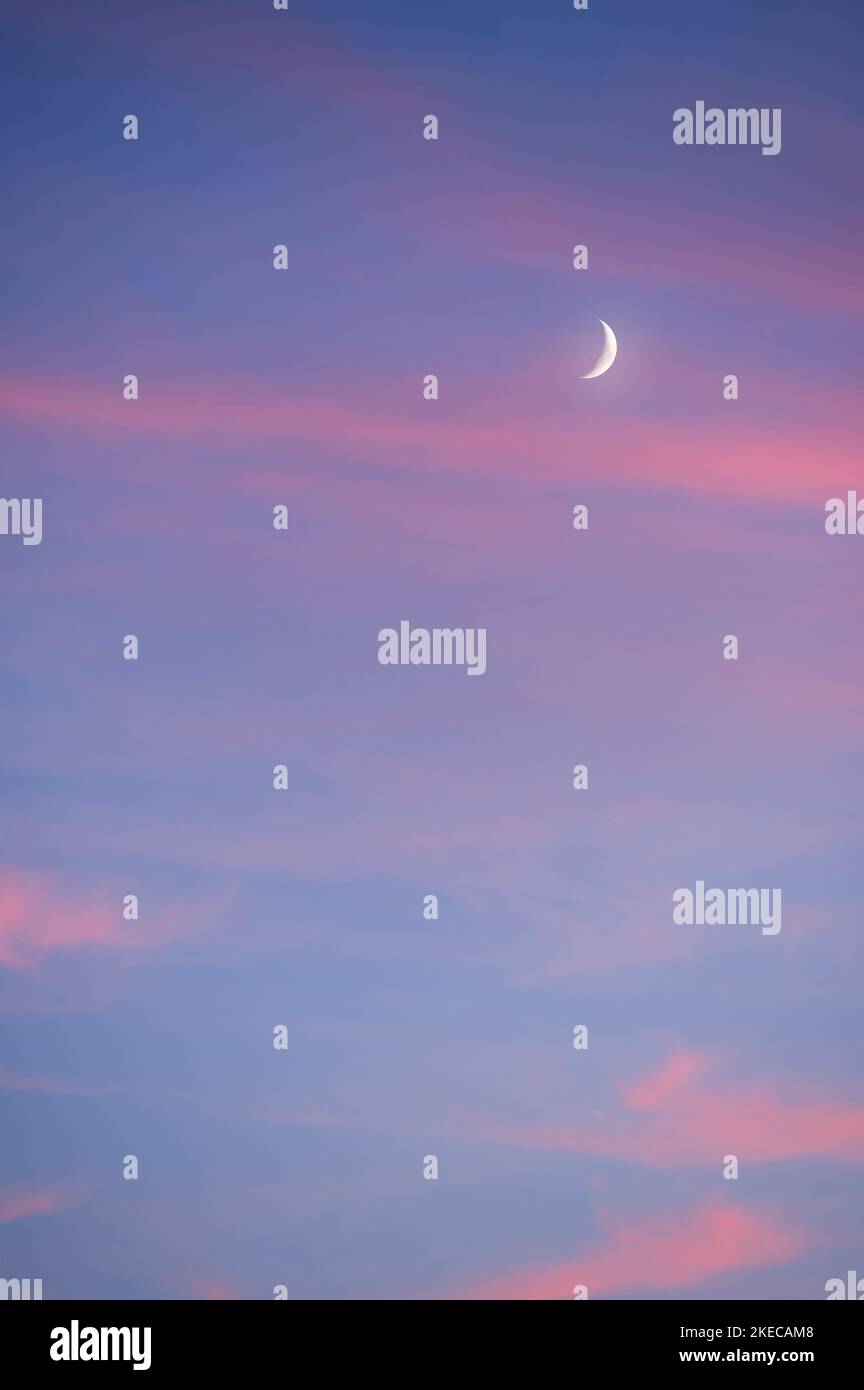 Cielo serale con luna crescente e nuvole di velo rosa Foto Stock
