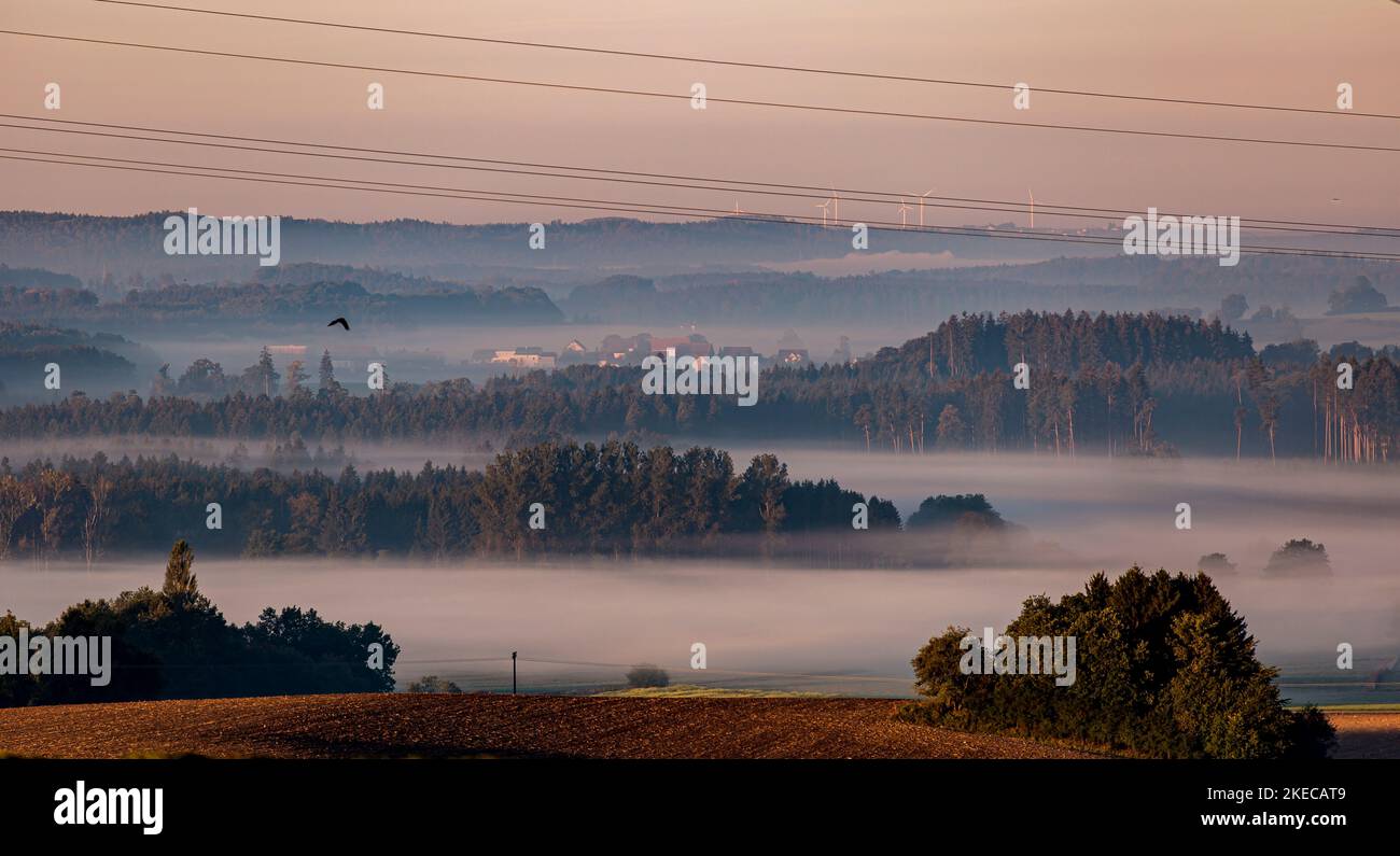 Energia rinnovabile nel paesaggio, turbine eoliche all'orizzonte vicino a Bad Saulgau Foto Stock