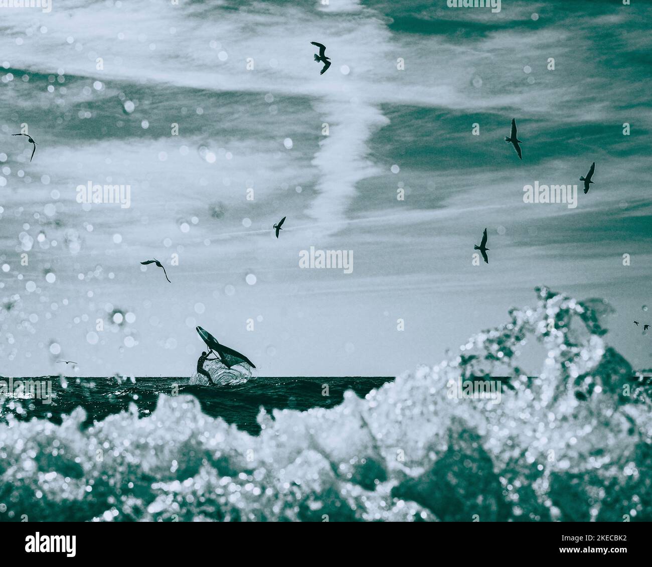 Wingsurfer Mare del Nord con gabbiani Foto Stock