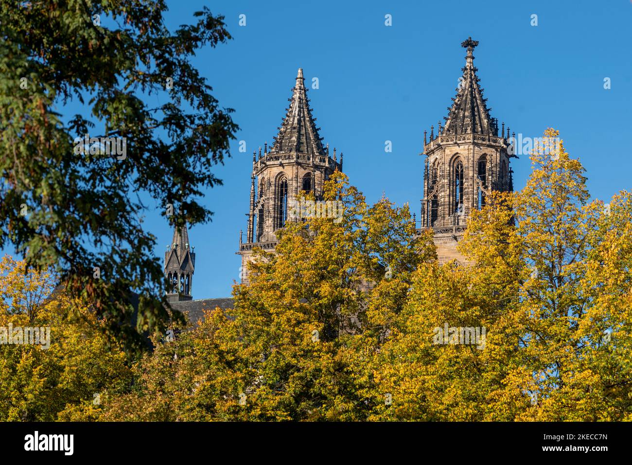 Cattedrale di Magdeburgo in autunno, Magdeburgo, Sassonia-Anhalt, Germania Foto Stock