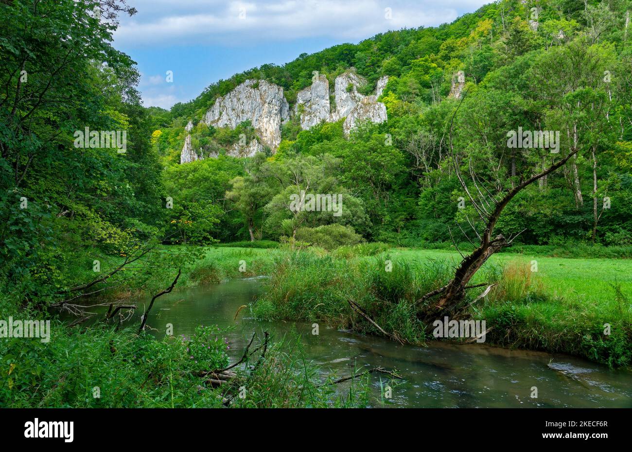 I Gemsfels nella valle del Große Lauter sull'Albo Svevo vicino Erbstetten. Foto Stock