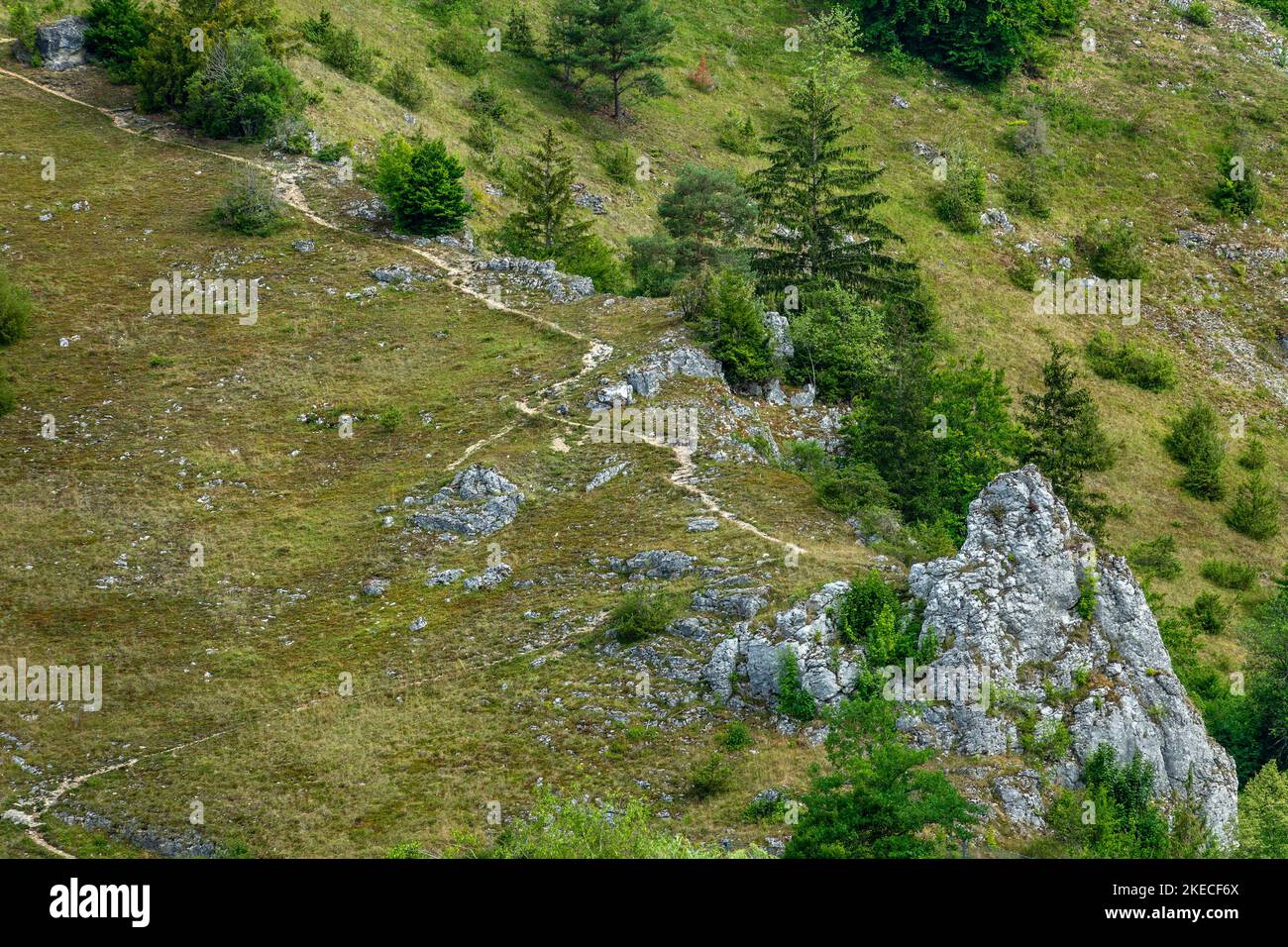 Sentiero escursionistico fino al punto panoramico sul Schachenberg. Dallo Schachenberg si ha un'ampia vista su Bichishausen e sulla Große Lautertal. Foto Stock