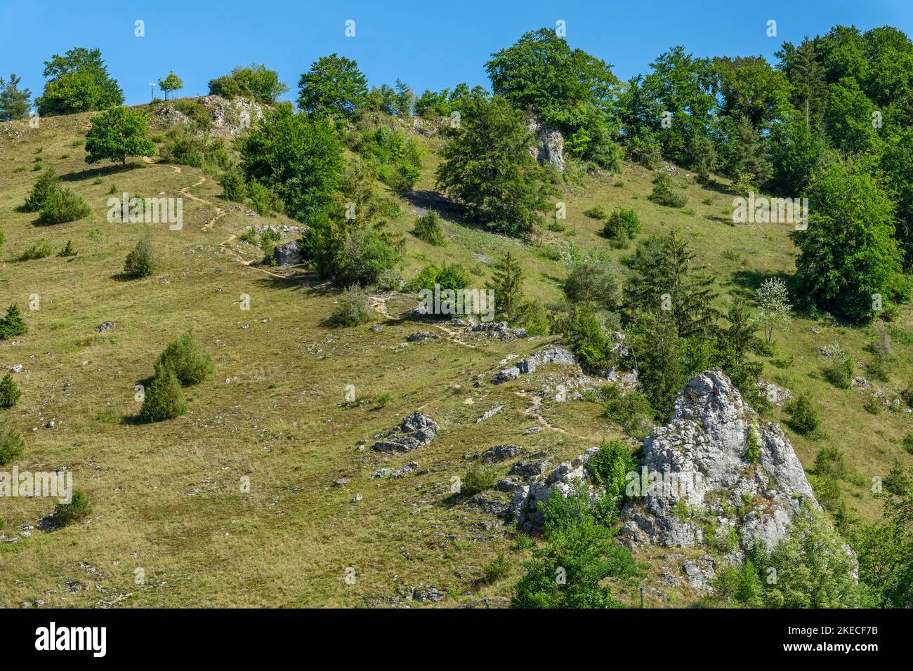 Sentiero escursionistico fino al punto panoramico sul Schachenberg. Dallo Schachenberg si ha un'ampia vista su Bichishausen e sulla Große Lautertal. Foto Stock