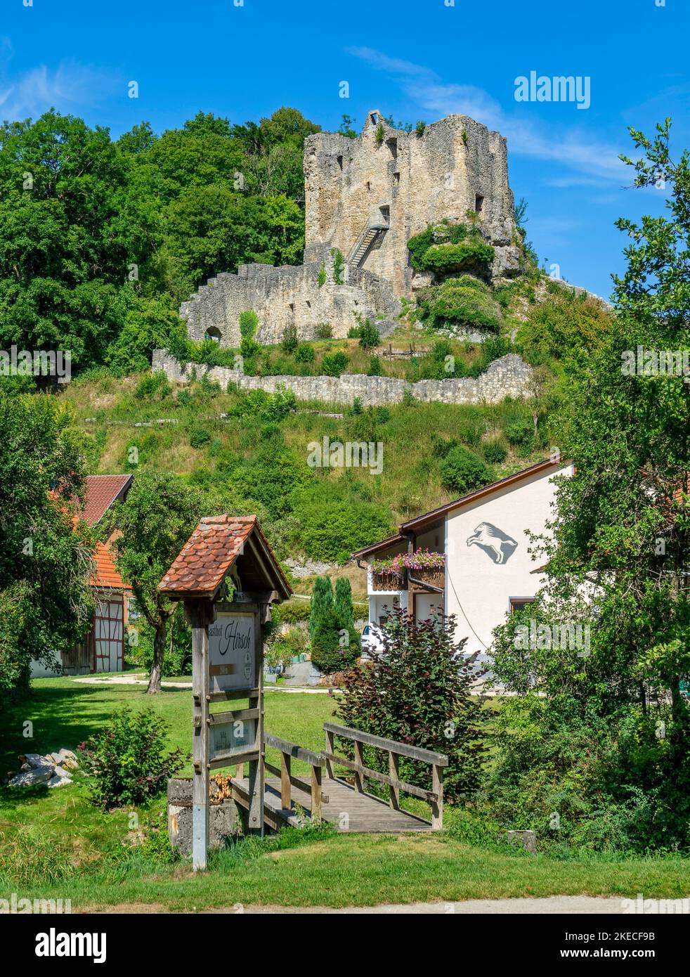 Rovine del castello di Bichishausen nella valle del fiume Great Lauter, nella zona della biosfera dell'Albano Svevo. Foto Stock