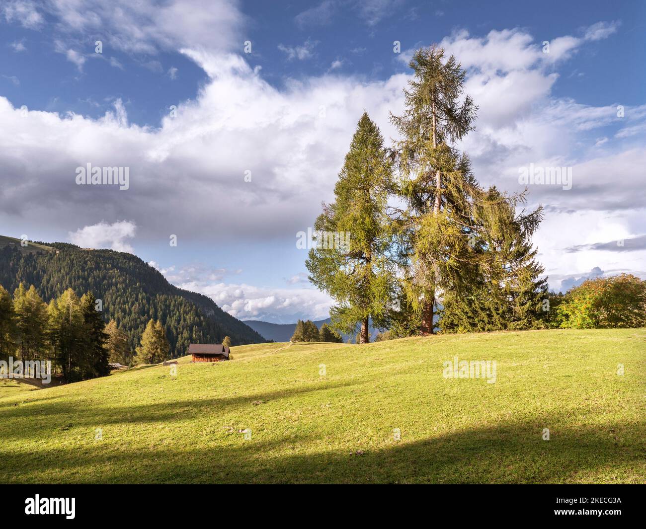 Alpe di Siusi alla luce del sole d'autunno Foto Stock