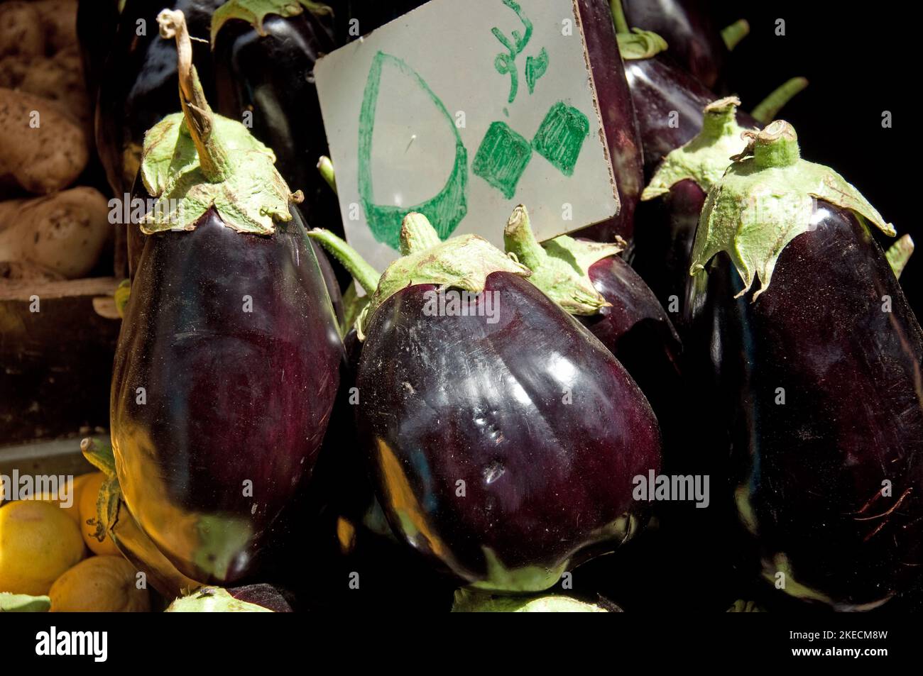 Melanzane, cibo Stall, Souk di Tripoli, Tripoli, Libano Foto Stock