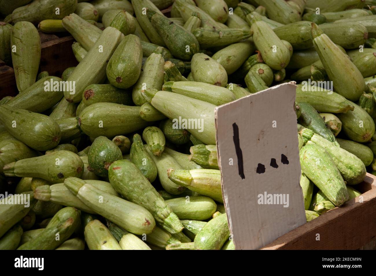 Zucchine, cibo Stall, souk di Tripoli, Tripoli, Libano Foto Stock