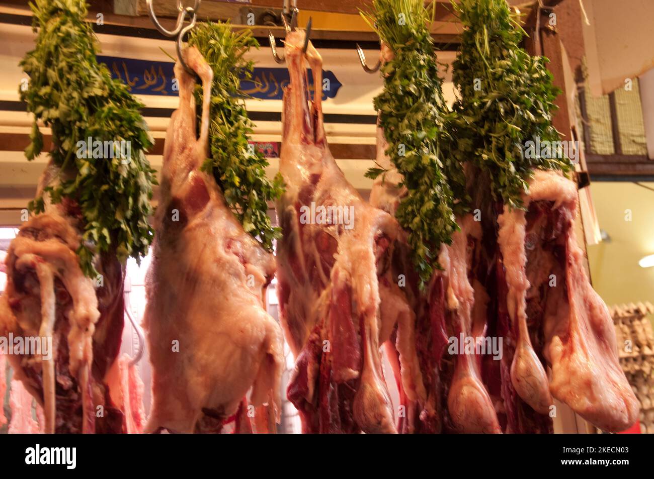 Stalla di carne, suk di Tripoli, Tripoli, Libano. Uno dei più grandi mercati (souk) del Libano, il souk di Tripoli vende tutto ciò di cui si potrebbe aver bisogno. Carne s Foto Stock