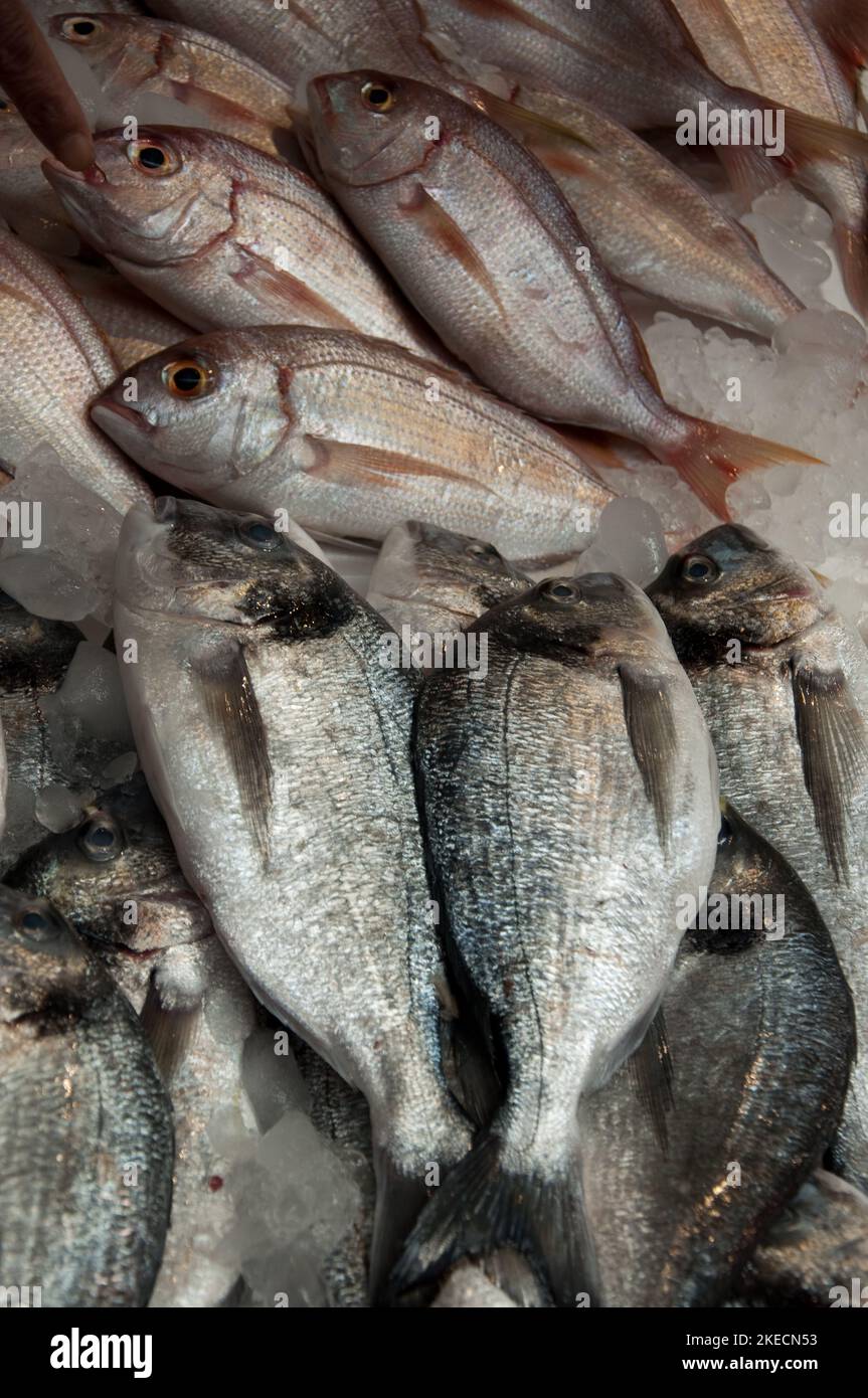 Pesce, cibo stall, suk Tripoli, Tripoli, Libano Foto Stock