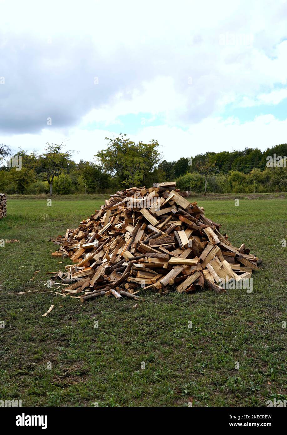 Germania, Baviera, agricoltura, prato, palo con legna da ardere, tronchi spaccati pronti per stufa Foto Stock