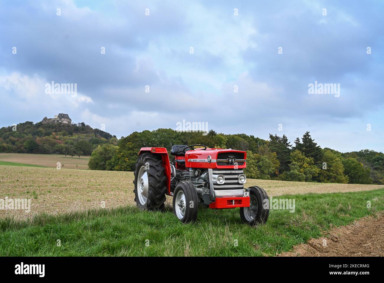 Otzberg, Hesse, Germania, trattore Massey-Ferguson 135. Cilindrata 2500 cc, 33 cv. Anno di fabbricazione 1966 Foto Stock