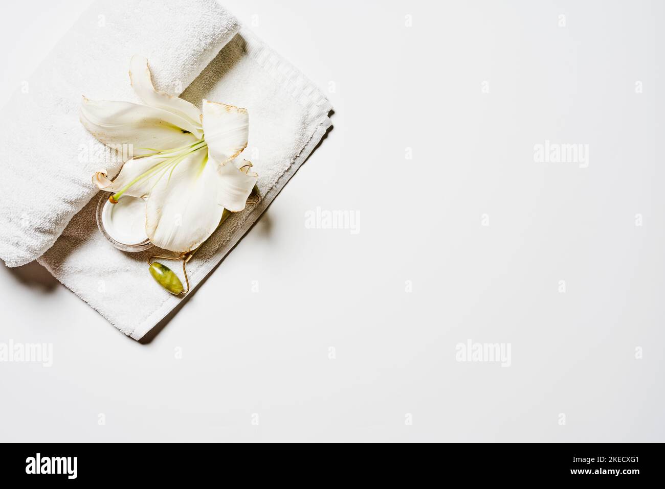 un fiore bianco sulla parte superiore di un tovagliolo con un gambo verde al centro e due petali alla parte inferiore Foto Stock