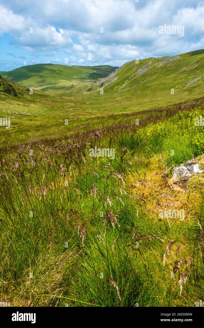 Le montagne Cambrian del Galles centrale è un'area selvaggia e remota Foto Stock