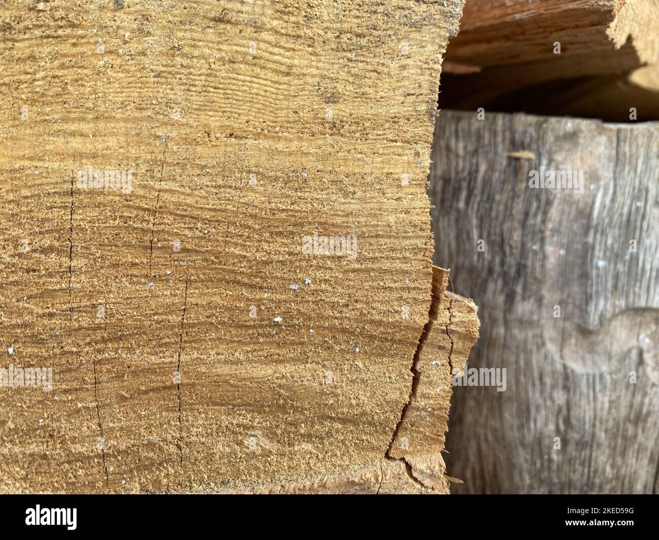 Pile di tavole di legno, tavole. Legna da ardere pila di legna da ardere materiale. Fuoco selettivo, spazio per testo Foto Stock