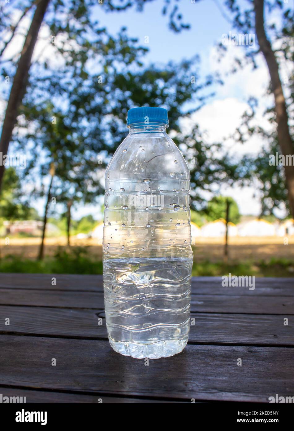 bottiglia d'acqua di plastica vuota su tavola di legno in natura. concetto di riciclaggio Foto Stock