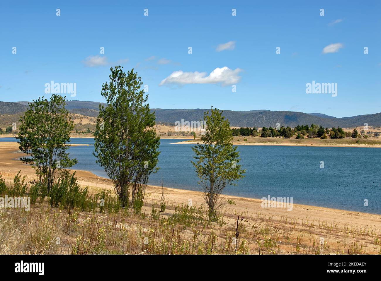 Jindabyne, nuovo Galles del Sud, Australia: Vista sul lago Jindabyne con gli alberi in primo piano Foto Stock