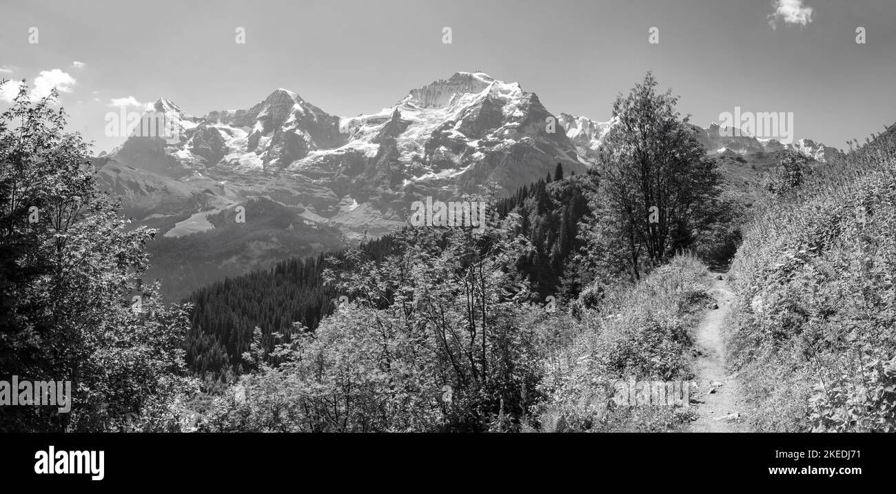 le alpi Bernesi con le cime di Jungfrau, Monch e Eiger sui prati delle alpi. Foto Stock