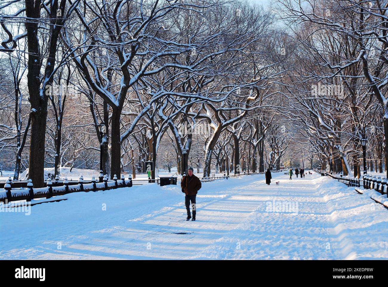 Alcune persone sfidano il freddo dopo una tempesta di neve e camminano attraverso il Mall, un'area formale del Central Park di New York Foto Stock