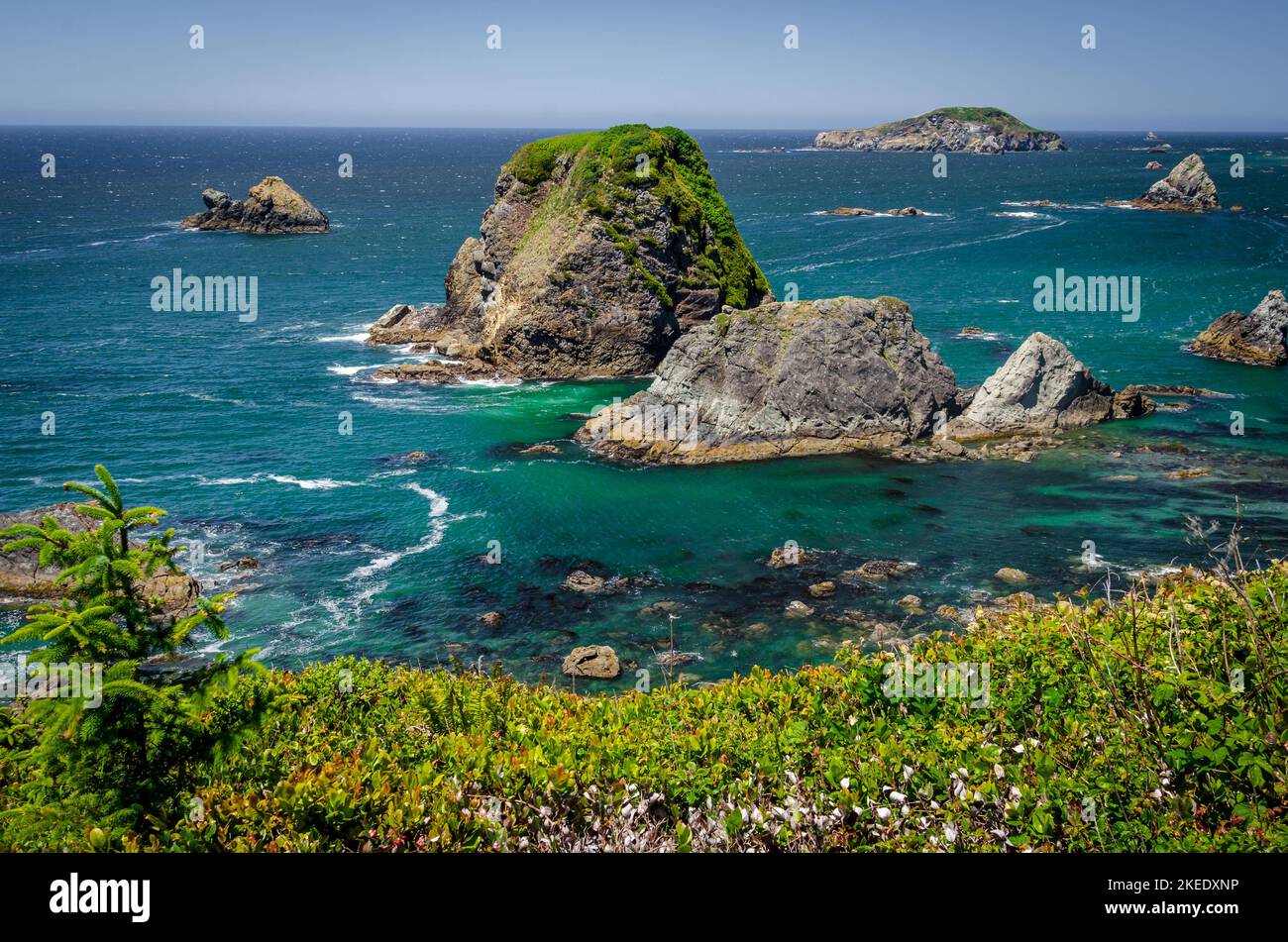 Splendida costa dell'Oregon Foto Stock