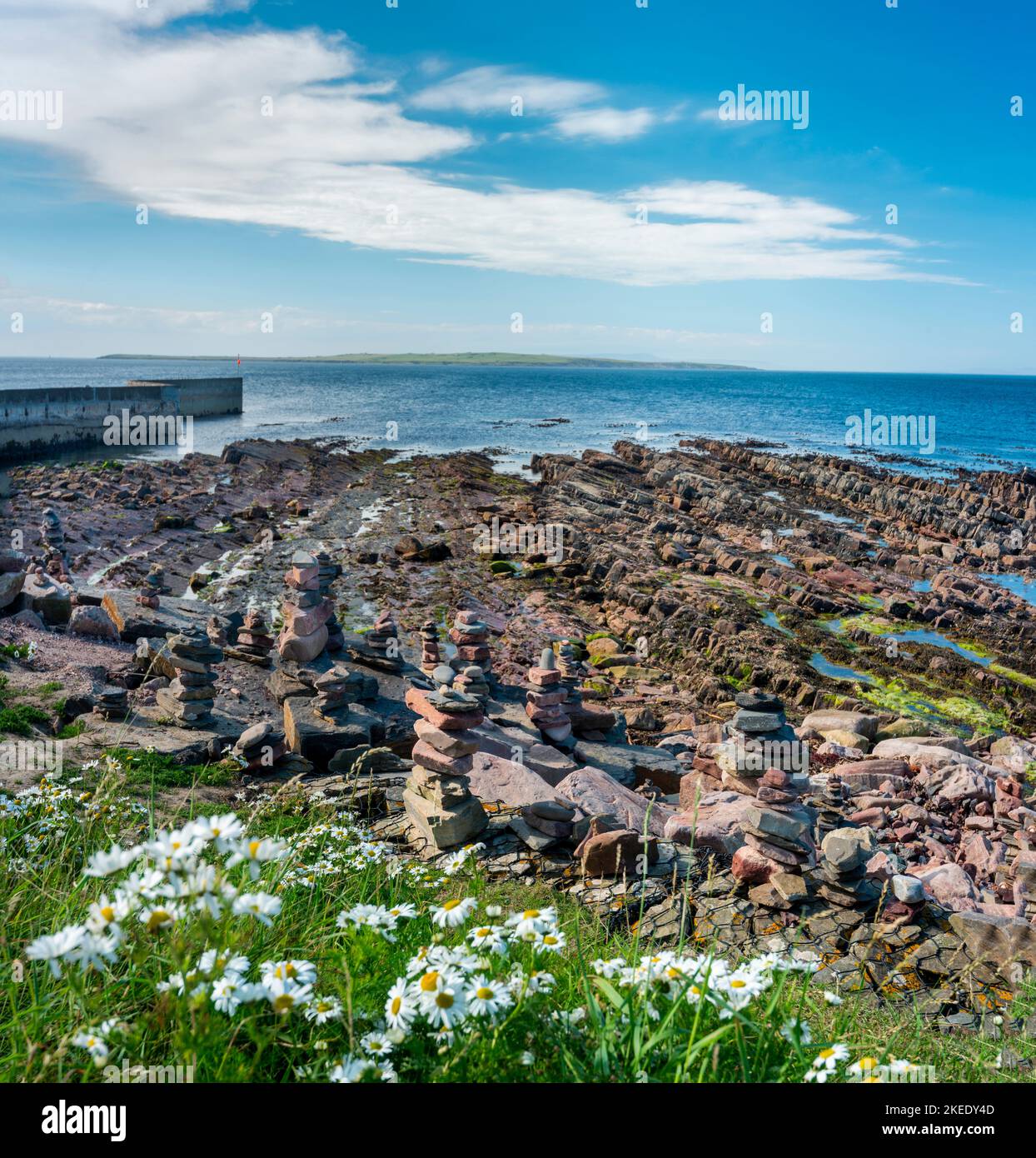 La costa più a nord della Scozia continentale, Isole di Orkney in the distance.Sunny estate day, margherite, rocce pile fatte dai visitatori, calme acque azzurre dell'oceano, Foto Stock