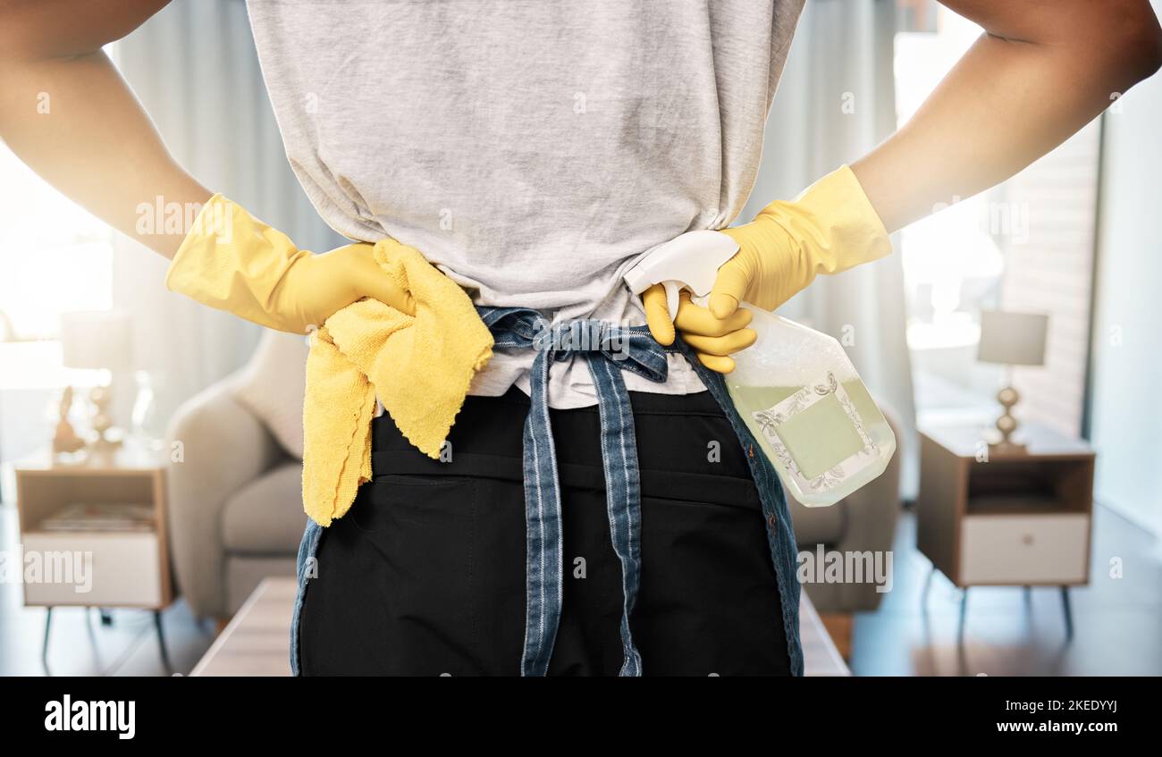 Pulizia, alimentazione e donna con panno e spray per la pulizia, l'igiene e il lavoro di casa nel soggiorno di una casa. Lavoro, forte e più pulito con Foto Stock