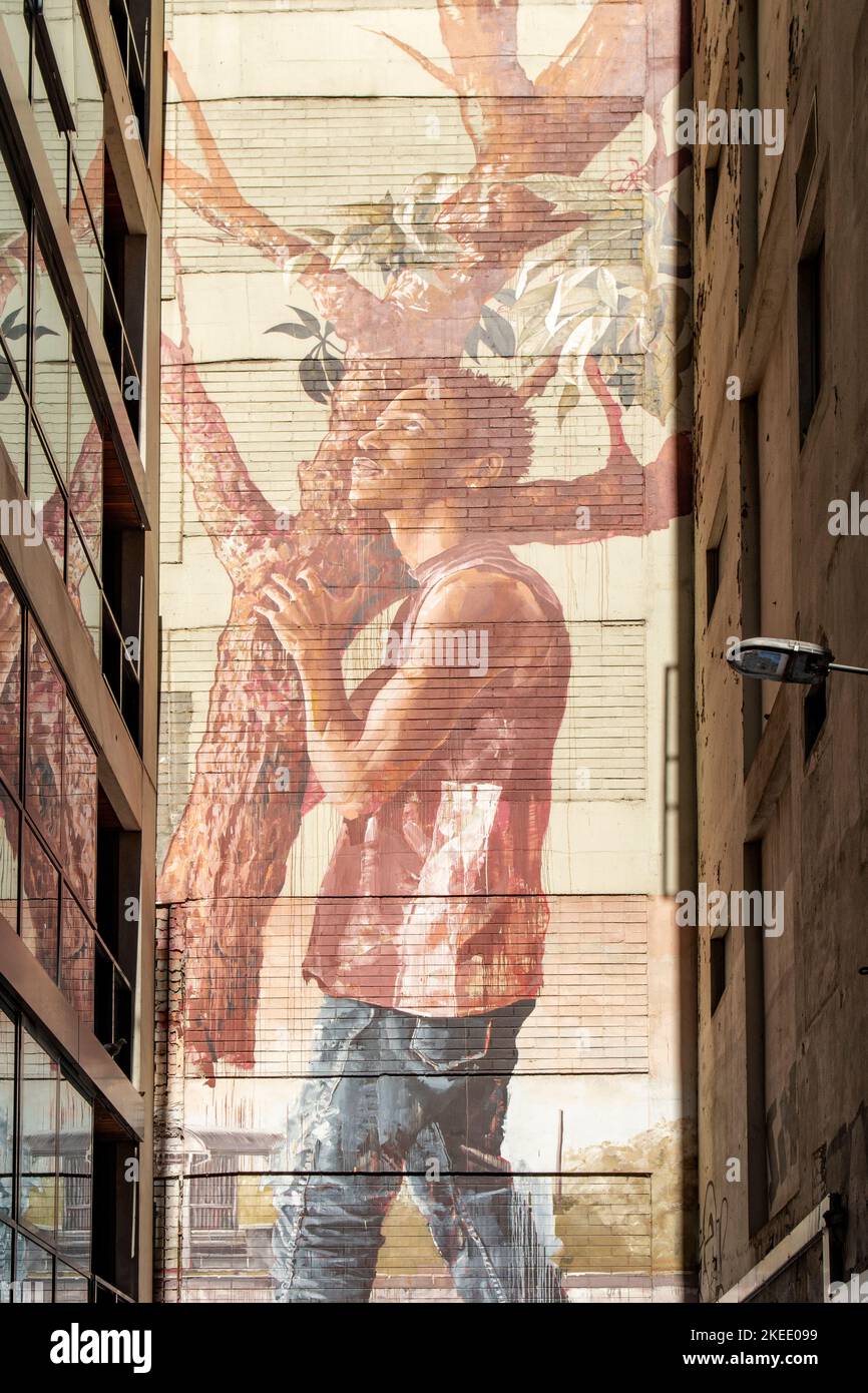 Tree Lover Street Art, Melbourne, Victoria, Australia Foto Stock