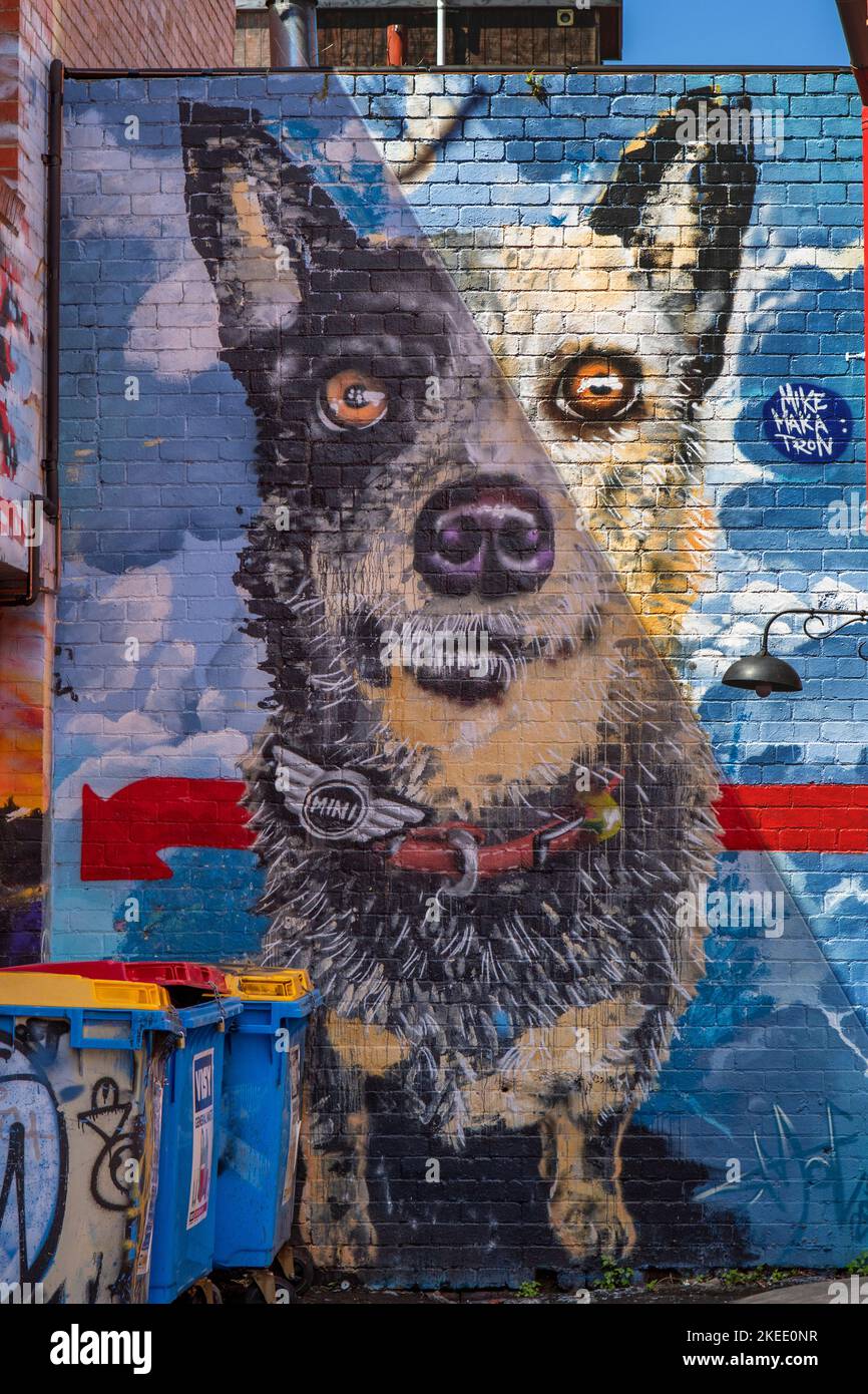 The Dog Street Art, Collingwood, Melbourne, Victoria, Australia Foto Stock