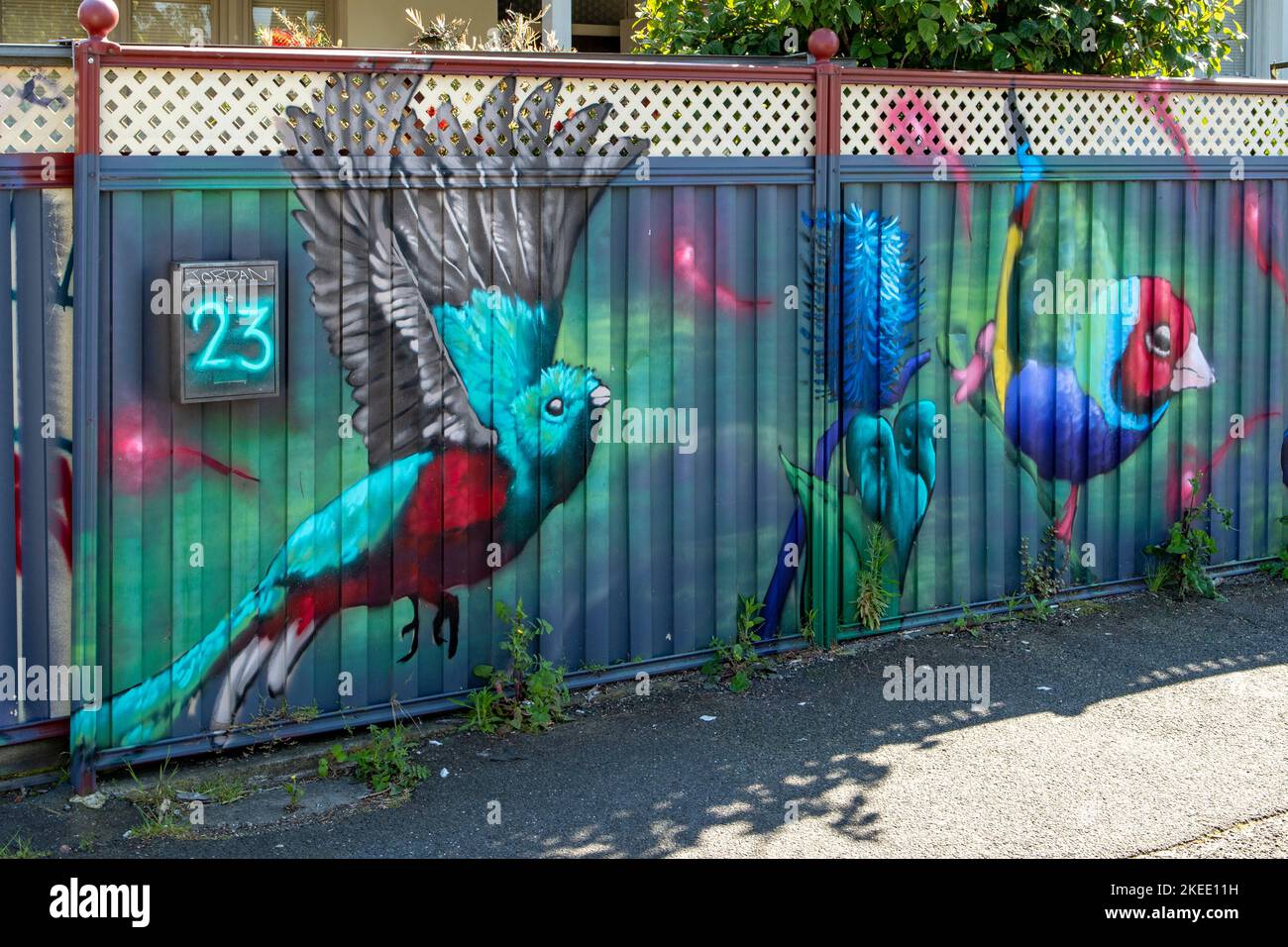Birds Street Art, Brunswick, Melbourne, Victoria, Australia Foto Stock