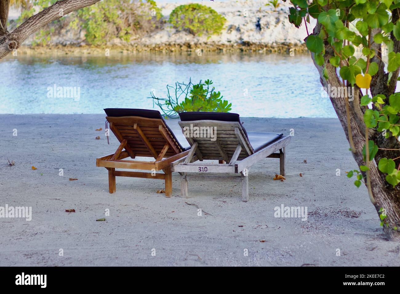Sedie a sdraio sul lato spiaggia Foto Stock