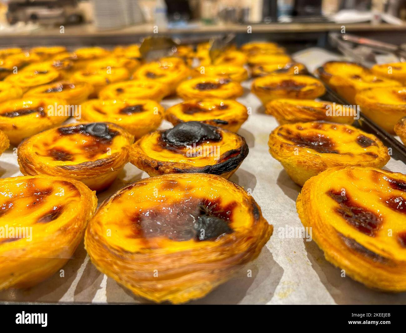 Lisbona, Portogallo, all'interno della panetteria portoghese locale, dettaglio, torte al forno in mostra, specialità locali Foto Stock