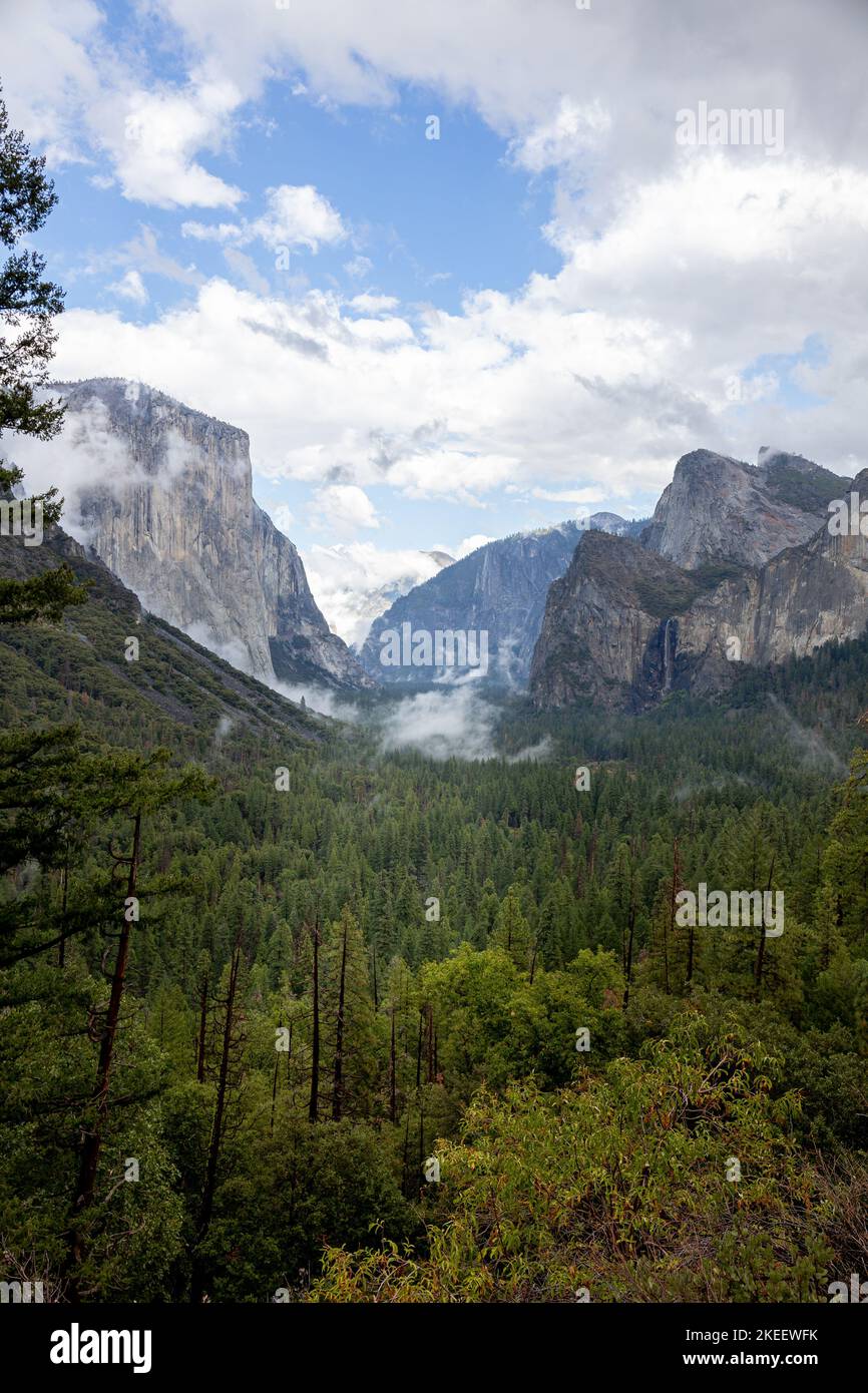 Valle nel Parco Nazionale di Yosemeti con conifere, nuvole basse, cielo nuvoloso e macchie di nebbia, California, USA Foto Stock