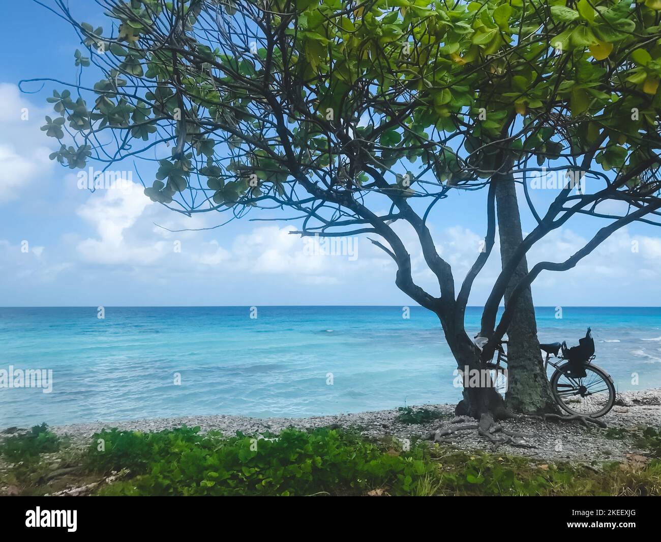 Stile di vita attivo. Bicicletta sulla spiaggia tropicale. Acqua turchese, cielo azzurro brillante nelle giornate di sole. Luogo di riposo ideale. Incredibile paesaggio estivo naturale. Viaggi, turismo, vacanze, libertà Foto Stock