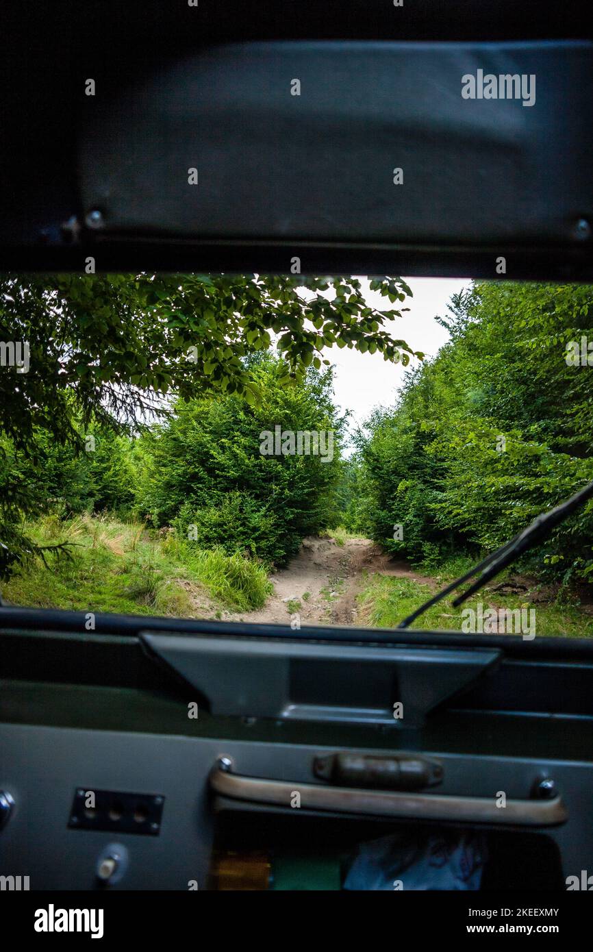 Foto della strada forestale presa dalla cabina di un vecchio camion militare. Foto Stock