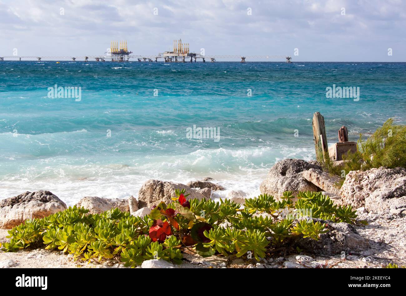 La vista della spiaggia rocciosa dell'isola di Grand Bahama e il mare ondulato dei Caraibi con un molo umido vuoto sullo sfondo. Foto Stock