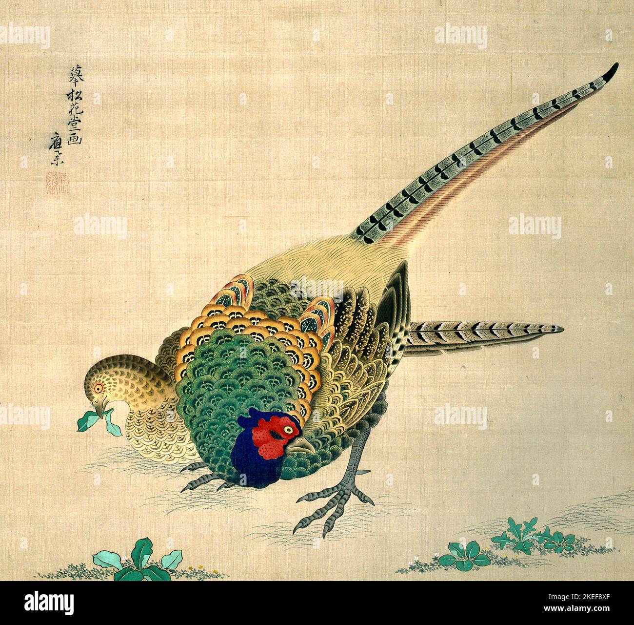 Maruyama Okyo, Hanging Scroll - Pair of Pheasants, circa 1750-1795, acquerello su seta e carta, Philbrook Museum of Art, Tulsa, USA. Foto Stock